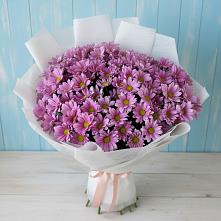 Букет цветов из:  Хризантемы в Спасск-Дальнем