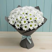 Букет цветов из:  Хризантемы #REPLACE_PRED# Спасск-Дальнем