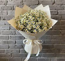 Букет цветов из:  Ромашки в Спасск-Дальнем