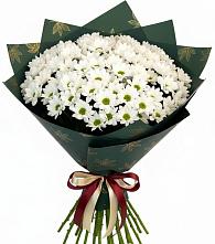 Букет цветов из:  Хризантемы в Спасск-Дальнем