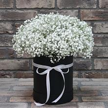 Цветочная композиция из Гипсофила в шляпной коробке в Спасск-Дальнем