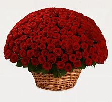 Премиум букет из: Розы в Спасск-Дальнем