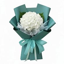 Букет цветов из:  Гортензия в Спасск-Дальнем